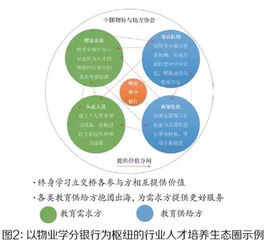 发展研究中心 发展研究中心 业界观点